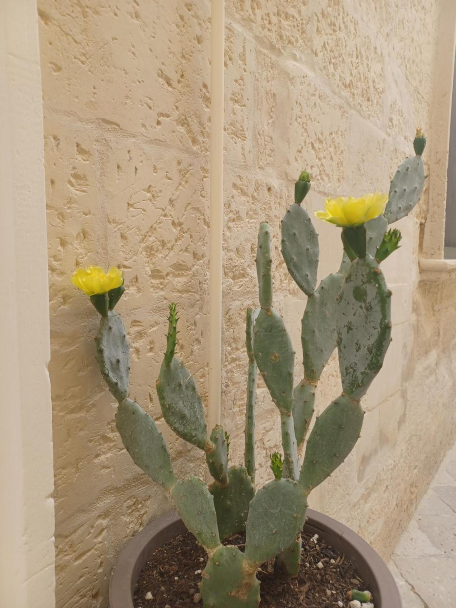 All'1 di Rajno' Relaxing ApartHotel Lecce Bagian luar foto